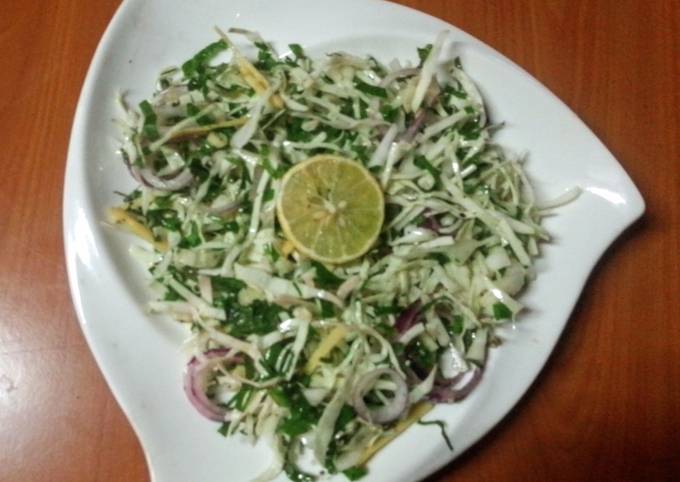 A picture of 'Malfouf salad' (lebanese cabbage salad 🥗).