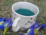 A picture of My best blue tea.