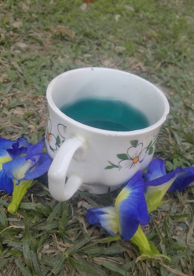 A picture of My best blue tea.