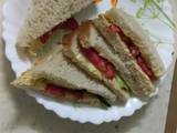 A picture of Bread sandwich (tomato/cucumber).