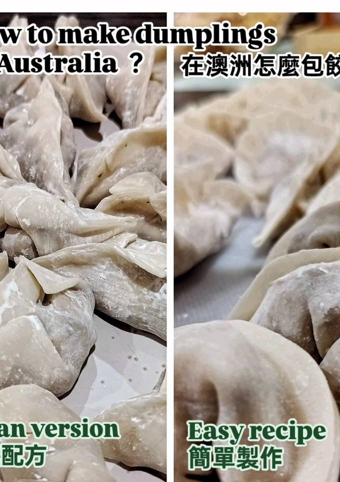 A picture of Dumplings (Taiwanese vegan version) 全素水餃.