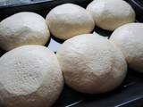 A picture of Dough for pizza (hydration 64%).