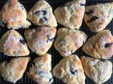 A picture of Cream Cheese & Blueberry Scones.