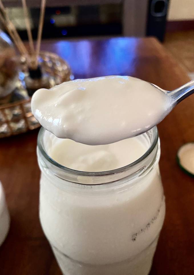 A picture of Homemade Yogurt (Cold-Start Method).