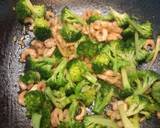 A picture of step 3 of BROCCOLI with SRIMP.