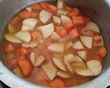 A picture of step 2 of Cabbage soup.