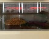 รูปขั้นตอนการทำที่ 5 ของ ฝึกทำซ้ำ Apple Pie/ Blueberry Flan และ ของที่เหลือ นำมาทำ พายจิ๋วบลูเบอร์รี่ และพายจิ๋วแอปเปิ้ล🍏🫐🍮🥧