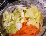 A picture of step 1 of Vegetable Ribbon Noodles.