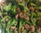 A picture of step 4 of BROCCOLI with SRIMP.