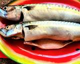 A picture of step 1 of Mackerel in sour cream, with broccoli and tomatoes, in the oven.